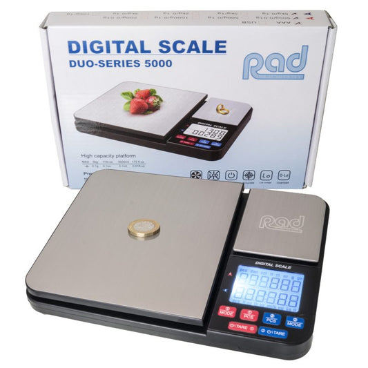 Large/precision scales